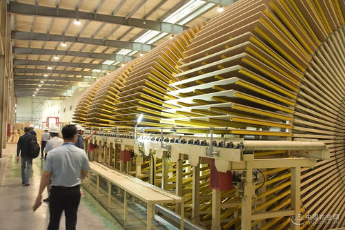 好板迎亚运 绿色工厂行 千年舟澳思柏恩邳州工厂品质之旅